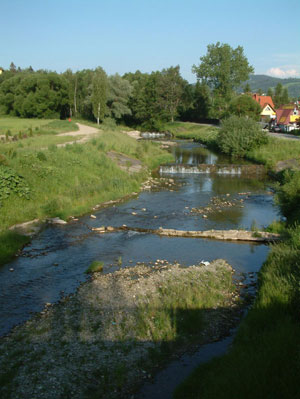 River Raba in Rabka Zdroj near Zakopane